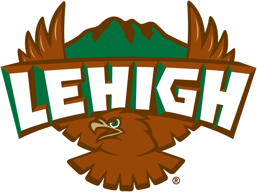 Lehigh Mountain Hawks 1996-2003 Primary Logo DIY iron on transfer (heat transfer)